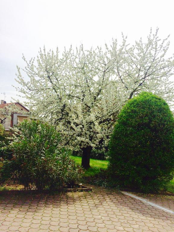 I Ciliegi Apartment Moncalieri Luaran gambar